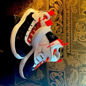 Jordan Flight Systems 20 20